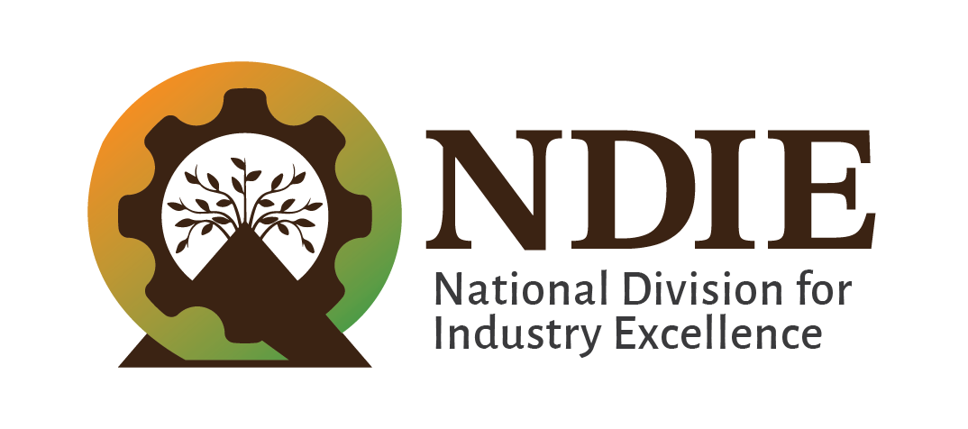 NDIE New Logo